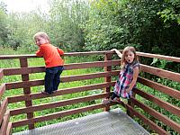 IMG 5783