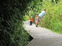 IMG 5785