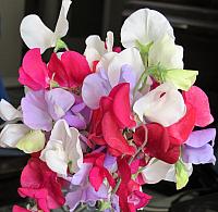 201608 - August 2016