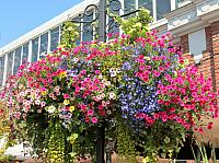 201608 - Vancouver Island