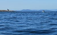 IMG 5935