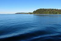 IMG 6007