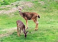 IMG 6018