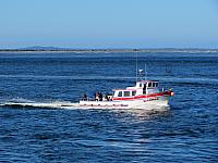 IMG 6035