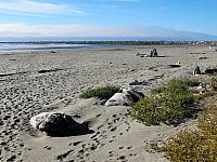 IMG 6041