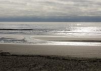 IMG 6049