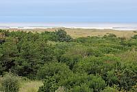 IMG 6053