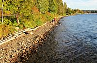 IMG 6071