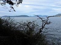 IMG 6184