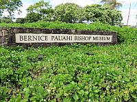 IMG 6451