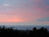 IMG 6652