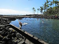 IMG 6724