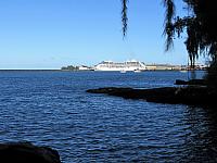 IMG 6748
