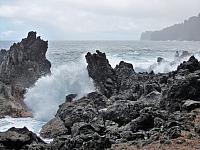 IMG 6861