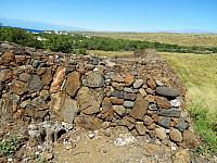 IMG 6917