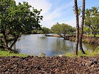 IMG 6972