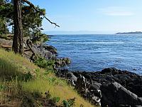 IMG 7371