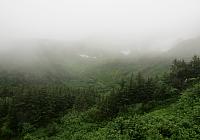 IMG 7701