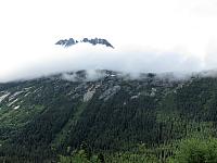 IMG 7798