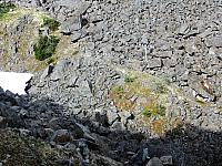 IMG 7826