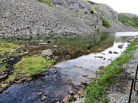 IMG 7831