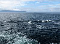 IMG 7994 (2)