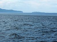 IMG 7995