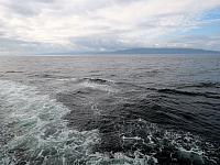 IMG 7997