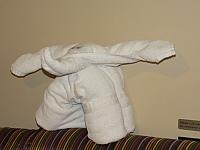 IMG 9181