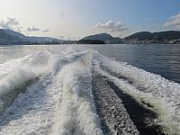 IMG 8864