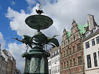 IMG 8318