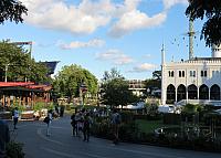 IMG 8788