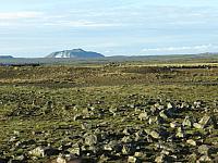 IMG 8079