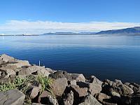IMG 8101