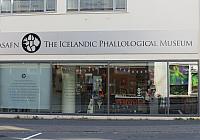 IMG 8207