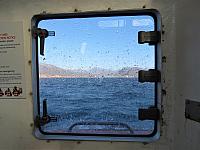 IMG 9827