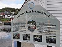 IMG 0051