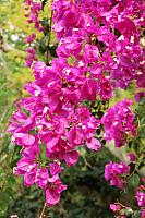 201801 - January 2018