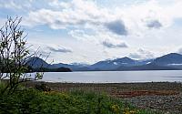 IMG 1781