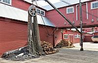 IMG 1822