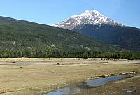IMG 1923