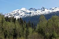 IMG 1949