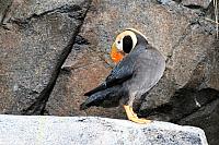 IMG 2063
