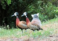 IMG 2510