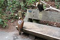 IMG 2532