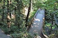 IMG 2581