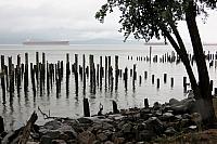IMG 2874