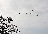 IMG 3418