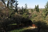 IMG 3115