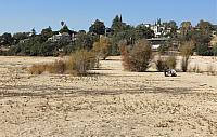 IMG 3127